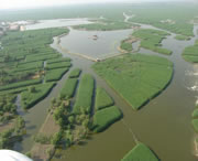 安新天气预报15天