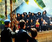 那坡天气预报15天