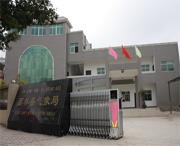 西林天气预报7天